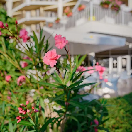 Hotel Madara Park 4*