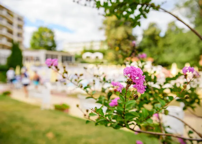 Madara Park Hotel 4*