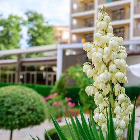 Madara Park Hotel Goudstrand